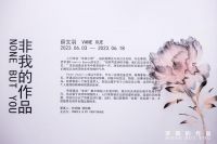 薛文羽个展“非我的作品 NONE BUT YOU”在上海开幕