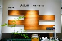 姚红鹏：可持续经营，追求“强”而非'大”