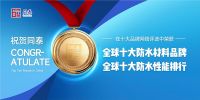 荣誉见证实力丨同泰新材料荣获“十大品牌”奖项