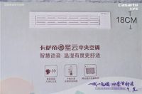 空气需求一站解决!卡萨帝星云中央空调亮相搜狐马拉松