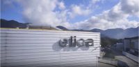 对话 | elica杨琛：洞察行业变革，多维度探索企业的可持续发展之路