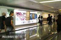 盛大开幕 乘势领跑 | 印象敦煌全系新品盛装亮相广州建博会