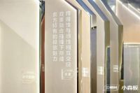 2023广州建博会｜领略三棵树小森板独一无二的视觉盛宴，共生自然的美学之旅