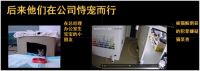 改造50+流浪猫和救助者的家/厦门室内设计力量公益行动