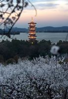 终端风采 | 强辉沛县旗舰店，营造舒适美学生活
