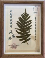 设计与自然共生丨领华地板荣获“中国地板设计风尚奖”！