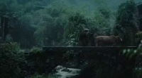 享受一场雨眠吧,梦中没有风雨,唯有属于中国人的睡眠智慧