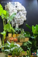 添品空间创始人徐大伟老师：未来软装发展将更加具体、清晰和专业