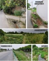 武汉首个污染“零排放”小镇 ：中法半岛小镇核心区生态排水系统综合提升规划