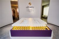 领舵者睡眠黑科技 208万"AI智慧律动睡眠床"首秀东莞展