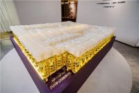 领舵者睡眠黑科技 208万"AI智慧律动睡眠床"首秀东莞展