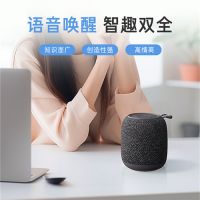 Vifa双AI智能音箱ChatMini京东预约 国内售价1599元