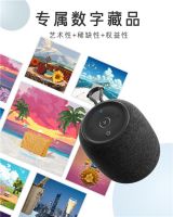 Vifa双AI智能音箱ChatMini京东预约 国内售价1599元