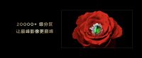 TCL又卷破天际啦！115'X11G Max带你体验豪宅顶配，人生巅峰