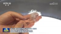 三星羽绒登上《新闻联播》： 老底子工厂新优势  跨境品牌打造“国际化铁军”