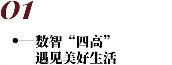 安心体验·遇见美好生活——成都生活家13周年庆暨生活家「数智整装」品牌发布会