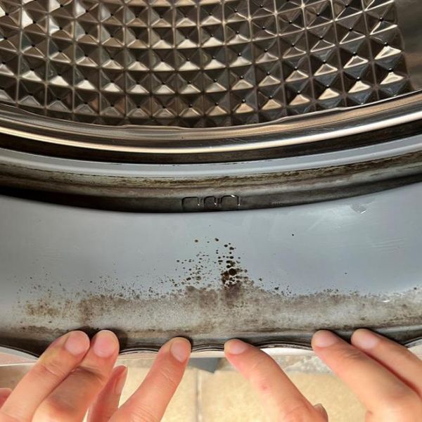 小白鲸洗衣机除菌清洁液 专业级洗衣机清洁 专为敏感肌设计