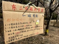 昌平打出垃圾分类“组合拳” 练好“净”功夫！