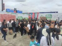 金盛国际家居六合广场金九银十家装总动员