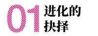 进化的力量——巴黎世家瓷砖十周年观察