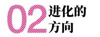 进化的力量——巴黎世家瓷砖十周年观察