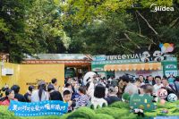国民品牌再会国宝熊猫，美的“美好空气”入住熊猫新馆