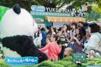 国民品牌再会国宝熊猫，美的“美好空气”入住熊猫新馆