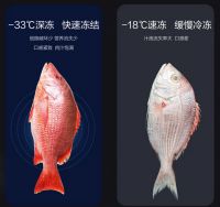 格力晶弘十字对开门冰箱，双十一福利来袭：让食物长久保鲜