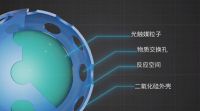 美绮抗菌窗帘：不让窗帘成为隐形致病源，换这一款就够了！