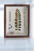 品质荣耀 品牌强国|安心实力斩获“2023中国地板强国品牌”