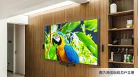 海信电视U8双11最强Mini LED：同价位分区最多、亮度最高