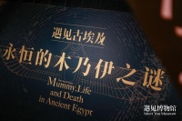 123件古埃及珍贵文物在中国首展，揭开古埃及文明永恒之谜