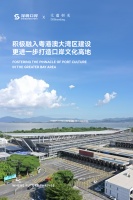 深圳口岸×大道恒美：深圳口岸文化IP顶层策划，推进深港融合互动