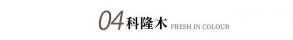 2024的第一份家装指南，霍尔茨携全新花色刷新家居无限可能