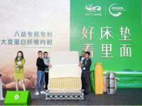 2024八益床垫产品推荐会暨民族品牌战略升级启动仪式圆满结束