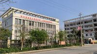浪美装饰贴膜董事长郭森浪谈国产品牌：坚守情怀，展现国货之光