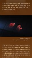 书香门地：智能感应灯光地板斩获2024年德国iF设计奖