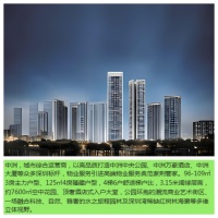 中洲湾迎海，严格执行市场，稳定市场，保护消费者权益