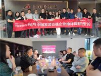 稳守阵地，成都装企精耕细作塑口碑