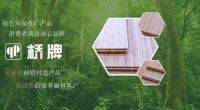 喜获“环保板材十大品牌”，桥牌板材用实力为自己代言