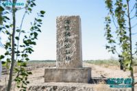 碳绿发展步履不停，海信中央空调“碳绿丝路”荒漠绿洲共建行动精彩开启