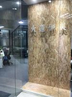 大道恒美品牌管理8周年：韧力进化，无限生长