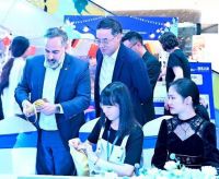 德系之巅德国家居品牌直播|Domicil带你体验德式生活