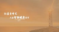 红蓝青窗帘布艺：品质卓越，超越标准