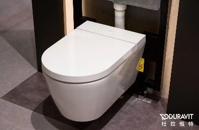 A toilet with a white lid Description automatically generated