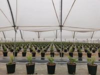从欹器到联塑管道：古法今用搭建智慧农业灌溉桥梁