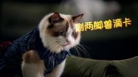 关注每位「家人」需求，