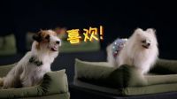 关注每位「家人」需求，