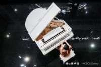 博仕门窗×高志强作品，博仕北京美术馆盛大启幕