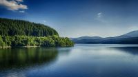 读懂青龙湖，爱上山湖墅